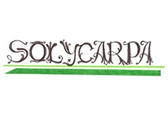Solycarpa